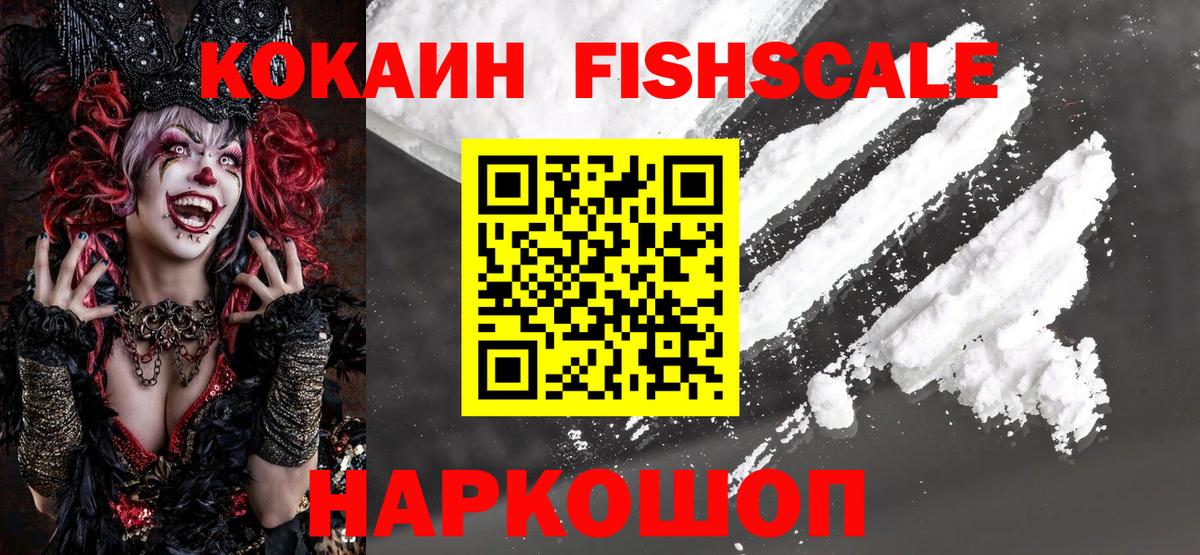 COCAIN Fish Scale Великий Устюг