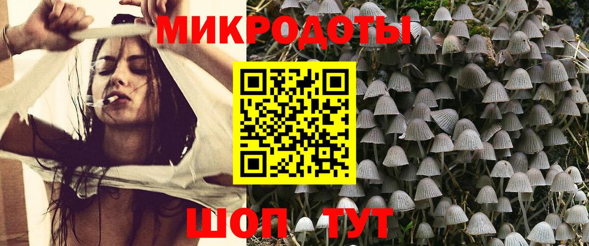 Псилоцибиновые грибы мицелий Великий Устюг