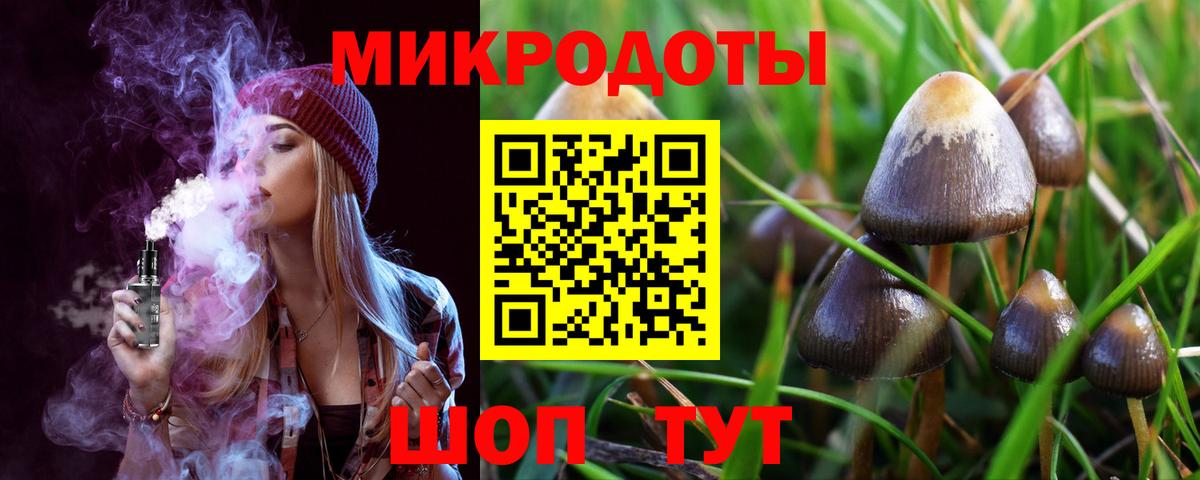 Галлюциногенные грибы Psilocybe  купить наркотик  Великий Устюг  Вход с VPN 